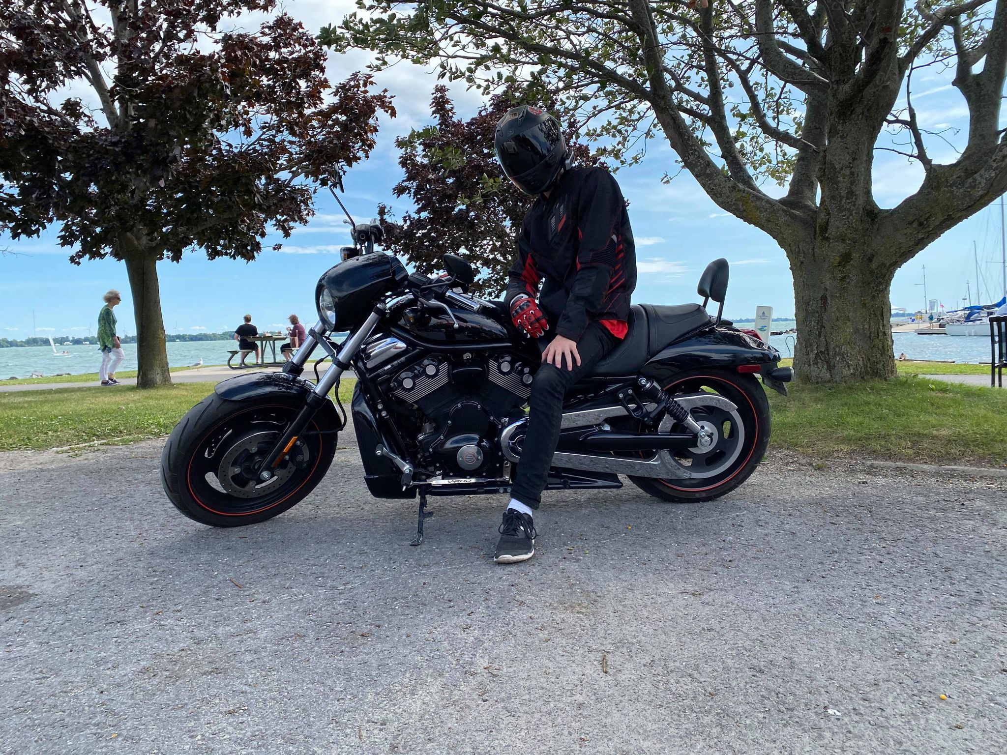 Profile Picture
